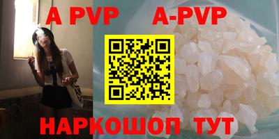 a pvp Свободный