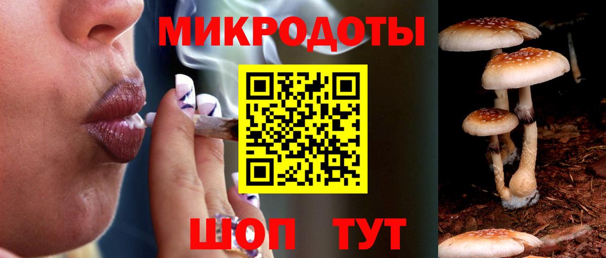 Псилоцибиновые грибы Cubensis Алатырь