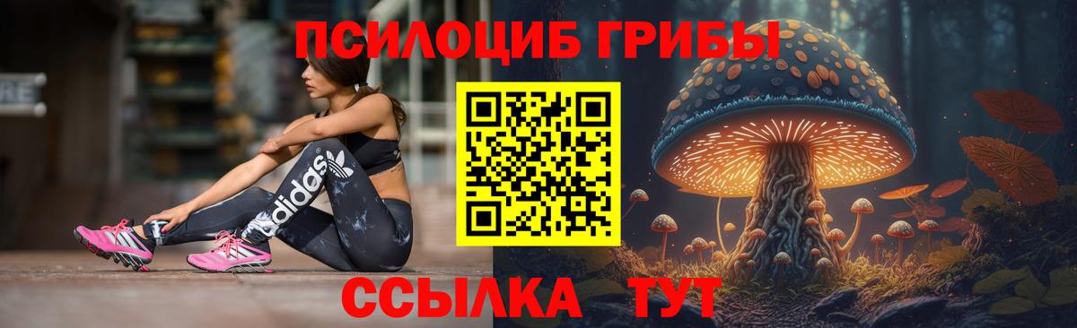 Алатырь  Галлюциногенные грибы Psilocybe  Вход с VPN  Галлюциногенные грибы мухоморы 
